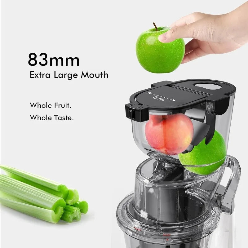 Cold Press Juicer
