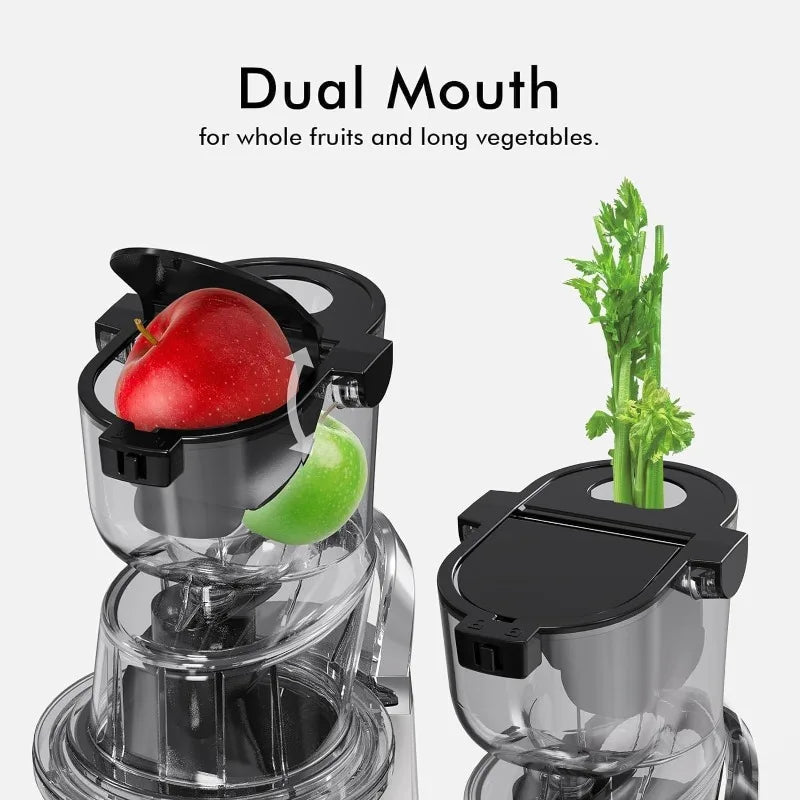Cold Press Juicer