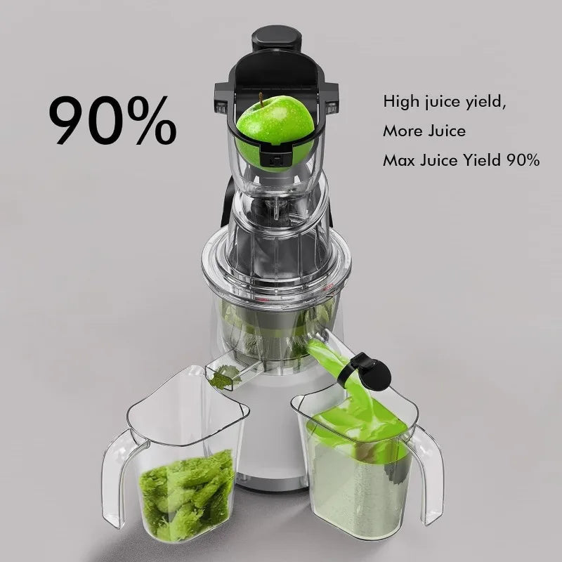 Cold Press Juicer
