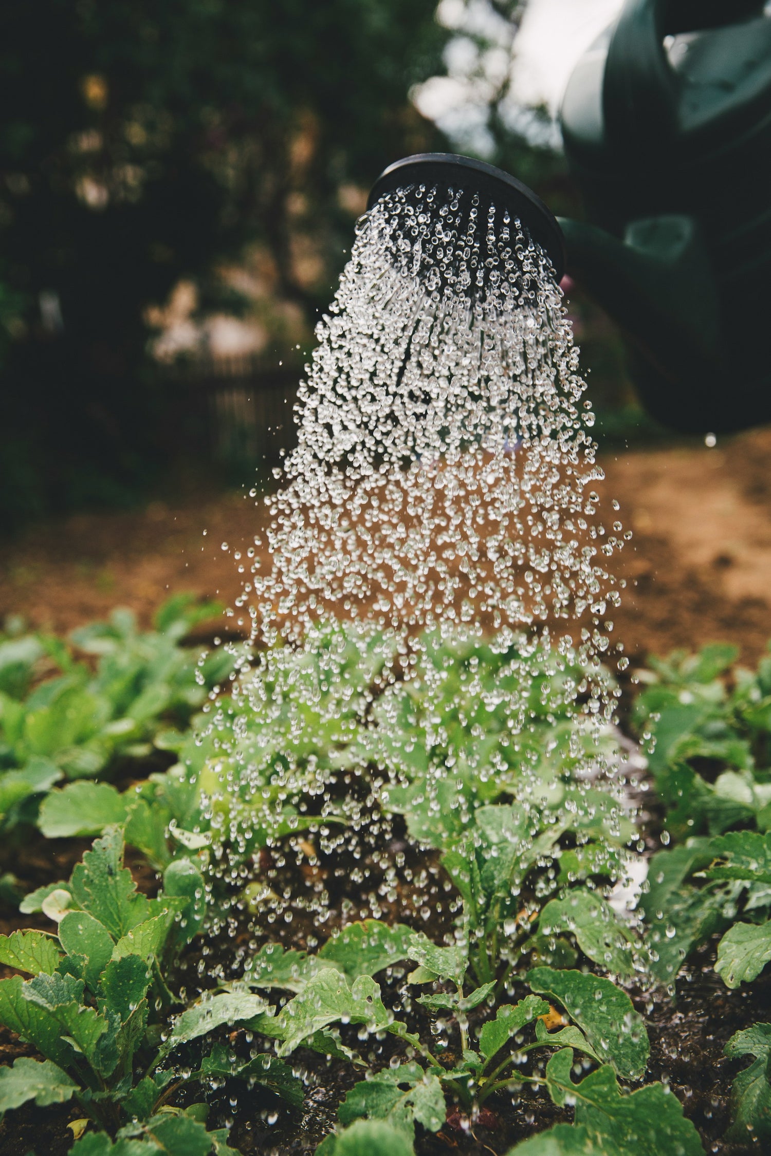 Gardening